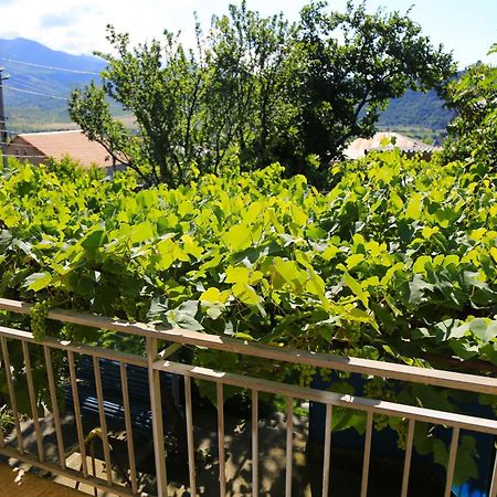Guest House Green Veranda Mtsʼkhetʼa 외부 사진