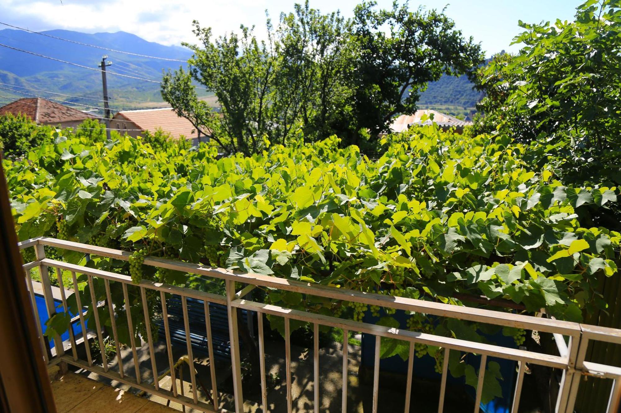 Guest House Green Veranda Mtsʼkhetʼa 외부 사진