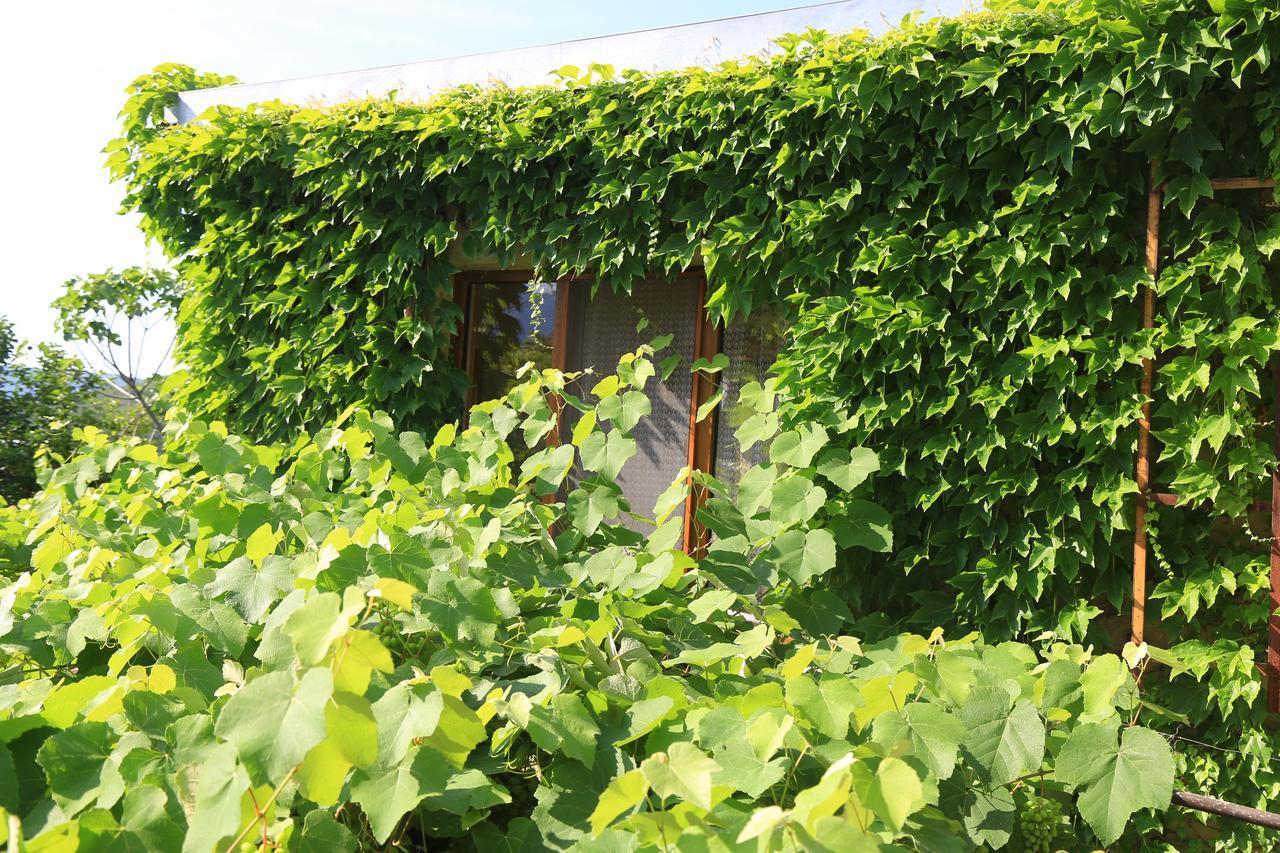 Guest House Green Veranda Mtsʼkhetʼa 외부 사진